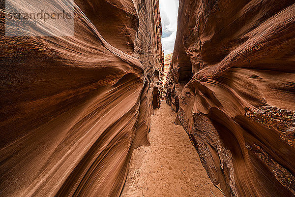 Slot Canyon bekannt als Mountain Sheep Canyon; Page  Arizona  Vereinigte Staaten von Amerika