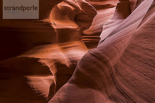 Slot Canyon bekannt als Canyon X  in der Nähe von Page; Arizona  Vereinigte Staaten von Amerika