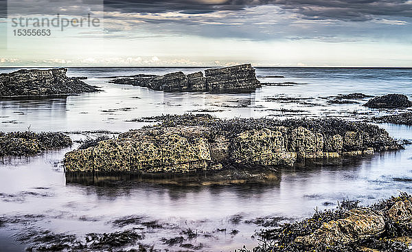 Felsen bei Ebbe und Sonnenuntergang an der Küste; Whitburn  Tyne and Wear  England