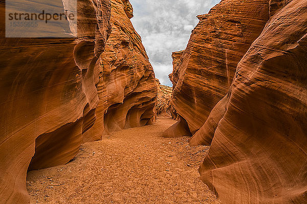 Slot Canyon  bekannt als Owl Canyon; Page  Arizona  Vereinigte Staaten von Amerika