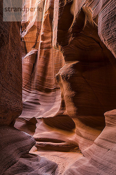 Slot Canyon bekannt als Canyon X  in der Nähe von Page; Arizona  Vereinigte Staaten von Amerika