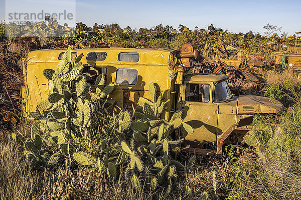Rostende Fahrzeuge auf dem Panzerfriedhof  wo Überreste des Krieges zwischen Eritrea und Äthiopien von 1961-1991 gelagert wurden; Asmara  Zentralregion  Eritrea