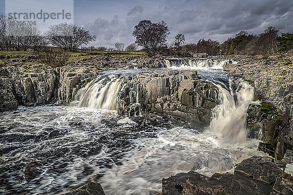 Low Force in Upper Teesdale  Nordengland  wo der Fluss Tees über die Whin Sill stürzt  eine Schicht aus hartem Doleritgestein  die vor 295 Millionen Jahren aus geschmolzenem Gestein entstand; Bowlees  Grafschaft Durham  England