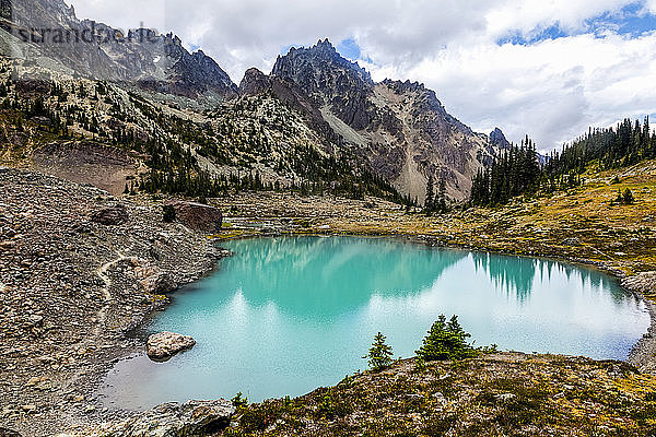 Upper Royal Basin mit The Needles und Mt. Clark im Hintergrund  Olympic Mountains  Olympic National Park; Washington  Vereinigte Staaten von Amerika