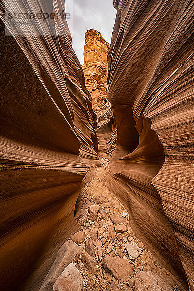 Slot Canyon bekannt als Mountain Sheep Canyon; Page  Arizona  Vereinigte Staaten von Amerika