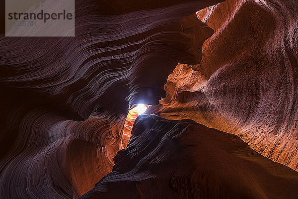 Slot Canyon bekannt als Canyon X  in der Nähe von Page; Arizona  Vereinigte Staaten von Amerika