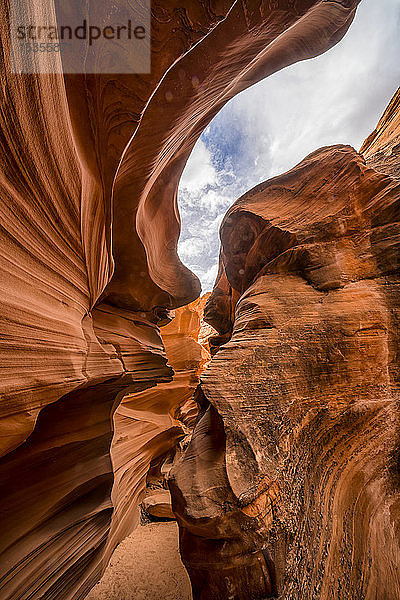 Slot Canyon bekannt als Mountain Sheep Canyon; Page  Arizona  Vereinigte Staaten von Amerika