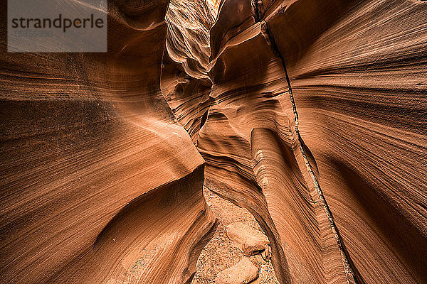 Slot Canyon bekannt als Mountain Sheep Canyon; Page  Arizona  Vereinigte Staaten von Amerika