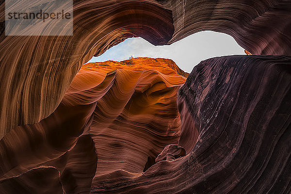 Slot Canyon bekannt als Rattlesnake Canyon; Page  Arizona  Vereinigte Staaten von Amerika