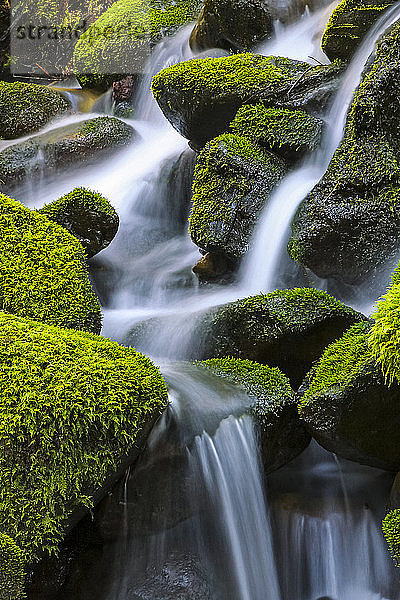 Moosbewachsene Felsen mit Wasserfall; Denver  Colorado  Vereinigte Staaten von Amerika