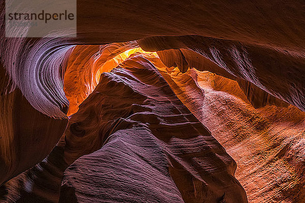 Slot Canyon bekannt als Canyon X  in der Nähe von Page; Arizona  Vereinigte Staaten von Amerika