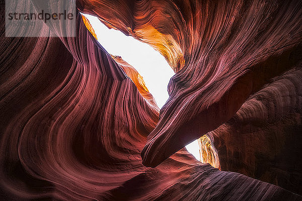 Slot Canyon bekannt als Rattlesnake Canyon; Page  Arizona  Vereinigte Staaten von Amerika