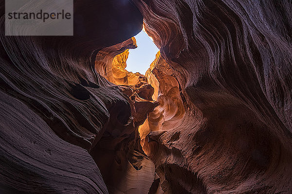 Slot Canyon bekannt als Canyon X  in der Nähe von Page; Arizona  Vereinigte Staaten von Amerika