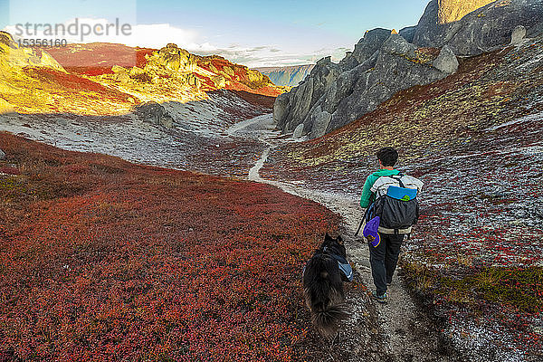 Rucksacktouristin mit ihrem Hund auf dem Kesugi Ridge Trail im Herbst  Denali State Park; Alaska  Vereinigte Staaten von Amerika