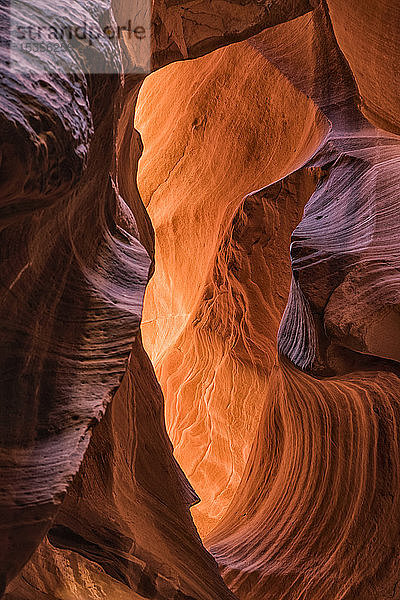 Slot Canyon bekannt als Canyon X  in der Nähe von Page; Arizona  Vereinigte Staaten von Amerika