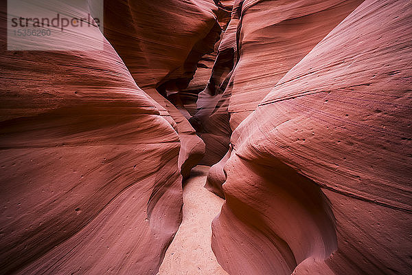 Slot Canyon bekannt als Canyon X  in der Nähe von Page; Arizona  Vereinigte Staaten von Amerika