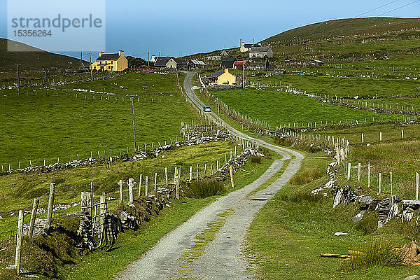 Straße  die über Weiden zu Häusern an einem Hang auf Dursey Island auf der Halbinsel Beara führt  Wild Atlantic Way; Dursey Island  Grafschaft Cork  Irland