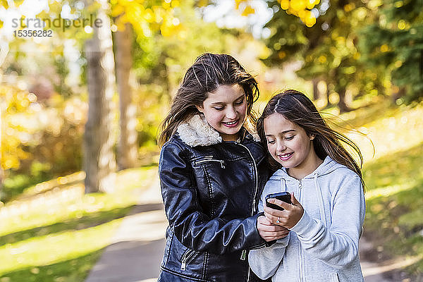 Zwei Schwestern schauen sich auf einem Handy soziale Medien an  während sie an einem warmen Herbsttag bei einem Familienausflug in einem Stadtpark einen Weg entlanggehen: Edmonton  Alberta  Kanada