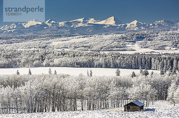 Kleine Blockhütte zwischen vereisten Bäumen  schneebedeckten Hügeln mit schneebedeckten Bergen und blauem Himmel im Hintergrund  nördlich von Turner Valley; Alberta  Kanada
