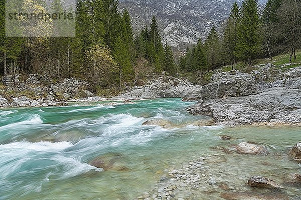Smaragdgrüner Wildfluss Soca  Soca-Tal  Triglav-Nationalpark  Bovec  Slowenien  Europa