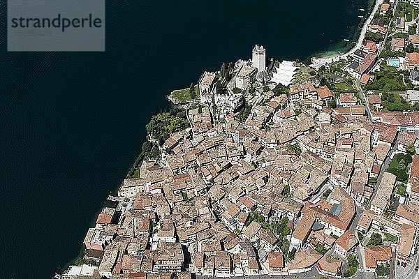 Altstadt und Castello di Malcesine  Malcesine am Gardasee  Luftaufnahme  Provinz Venetien  Italien  Europa