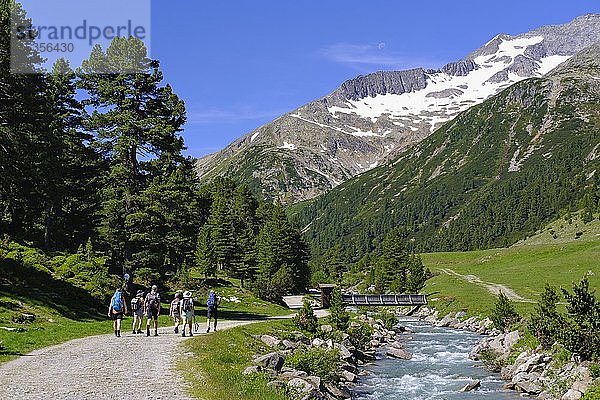 Wandergruppe am Zamserbach  Zamser Grund  Zillertaler Alpen  Zillertal  Tirol  Österreich  Europa