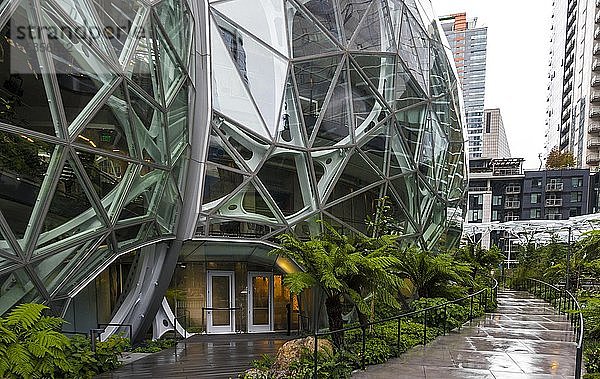 Modernes Bürogebäude von Amazon mit einem Garten  Amazon Spheres  The Spheres  Seattle  Washington  USA  Nordamerika