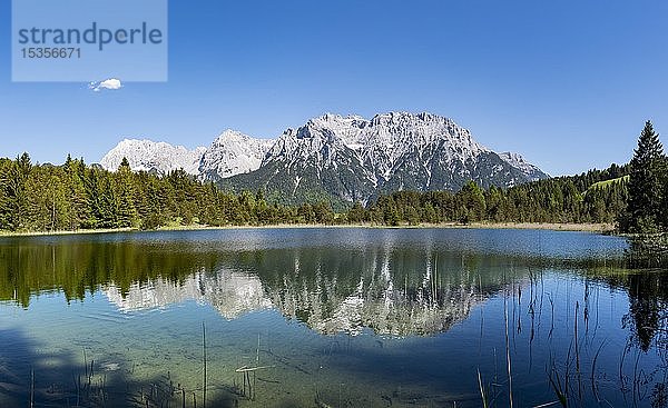 Westliche Karwendelspitze gespiegelt im Luttensee  Karwendelgebirge  Mittenwald  Oberbayern  Bayern  Deutschland  Europa