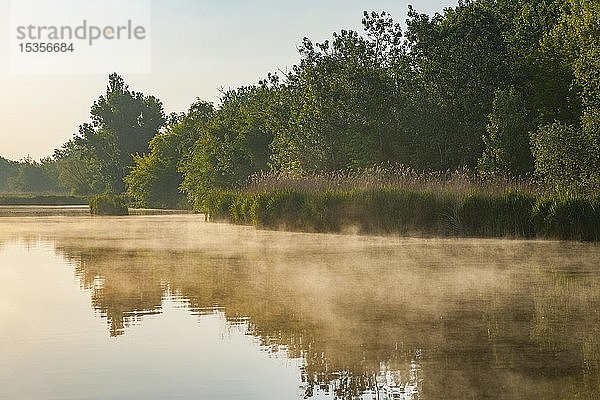 Morgennebel über einem Teich  Naturschutzgebiet Herbslebener Teiche  Thüringen  Deutschland  Europa