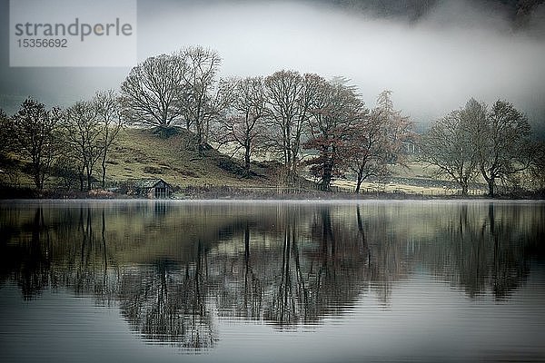Bäume spiegeln sich in der Wasseroberfläche  Nebel  Rydal Water  Ambleside  Lake District National Park  Mittelengland  Großbritannien