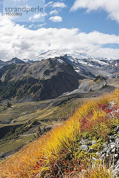 Berglandschaft im Herbst  Mt. Baker mit Gletscher in Wolken  Mount Baker-Snoqualmie National Forest  Washington  USA  Nordamerika