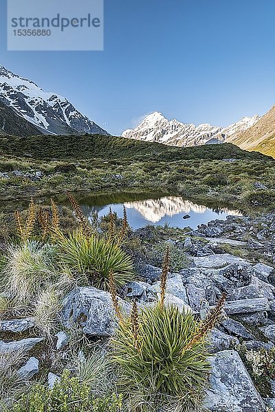 Hooker Valley  Mount Cook spiegelt sich in kleinem Teich  Mount Cook National Park  Südliche Alpen  Canterbury  Südinsel  Neuseeland  Ozeanien