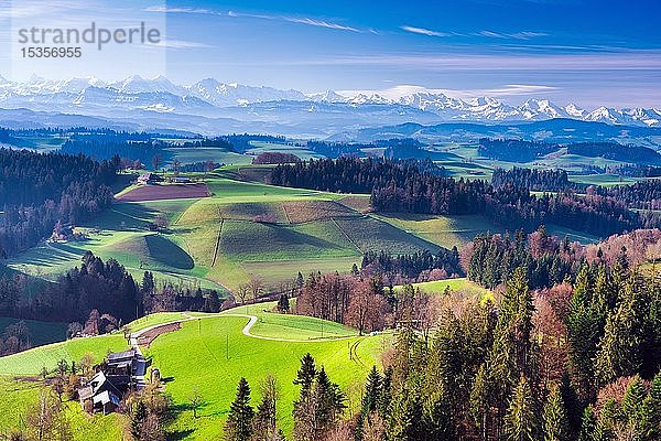 Blick von der Lueg über das Emmental mit Berner Alpen im Frühling  Affoltern im Emmental  Kanton Bern  Schweiz  Europa
