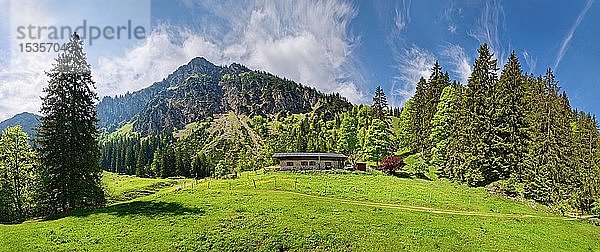 Almwiese mit Almhütte am Hochgern  Staudachalm  Marquartstein  Bayern  Deutschland  Europa