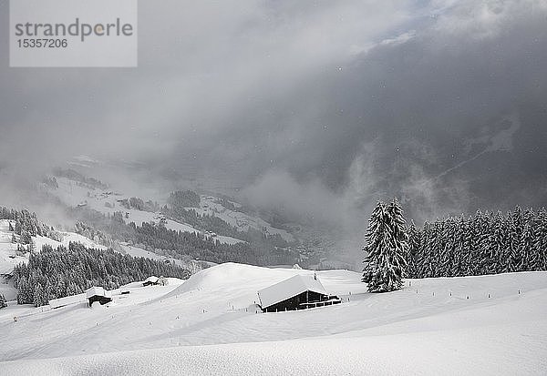 Eingeschneite Berghütten an einem Hang mit Schneefall  Hochbrixen  Brixen im Thale  Tirol  Österreich  Europa