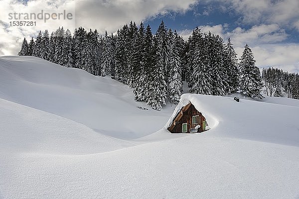Winterlich schneebedeckte Berghütte mit Wald im Hintergrund  Balderschwang  Oberallgäu  Bayern  Deutschland  Europa