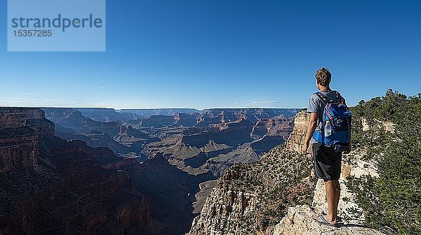 Junger Mann mit Blick in die Ferne  Canyonlandschaft  erodierte Felslandschaft  Grand Canyon  Hermit's Trail  South Rim  Grand Canyon National Park  Arizona  USA  Nordamerika