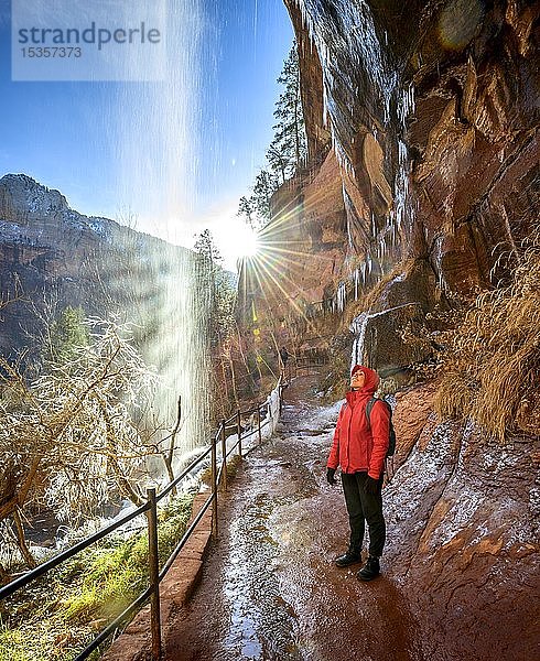 Wanderin vor Wasserfall  Wasser fällt von überhängendem Fels  vereister Wanderweg Emerald Pools Trail im Winter  Zion National Park  Utah  USA  Nordamerika