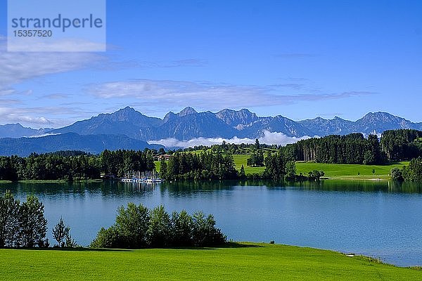 Illasbergsee  dahinter der Forggensee  und Allgäuer Alpen  bei Roßhaupten  Ostallgäu  Allgäu  Schwaben  Bayern  Deutschland  Europa