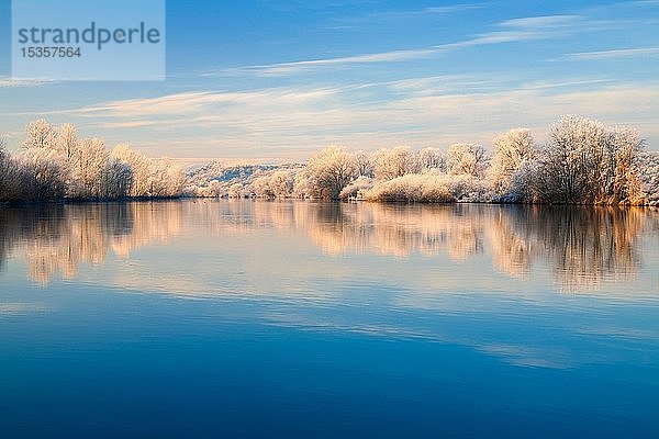 Flusslandschaft im Winter an der Saale  Bäume mit Frost und Schnee am Ufer im Morgenlicht  Wasserspiegelung  Naturpark Unteres Saaletal  Sachsen-Anhalt  Deutschland  Europa