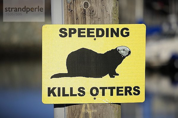 Verkehrsschild Vorsicht Seeotter  Geschwindigkeitsbegrenzung  Elkhorn Slough  Kalifornien  USA  Nordamerika