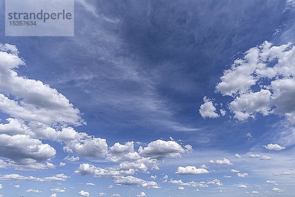Cumulus humilis Wolken (Cumulus humilis) am blauen Himmel  Bayern  Deutschland  Europa