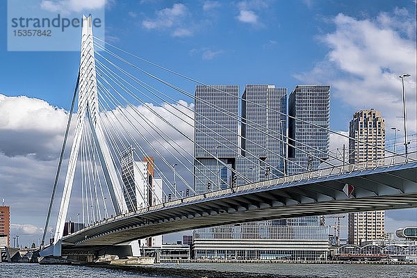 Erasmus-Brücke vor der Skyline  Rotterdam  Niederlande