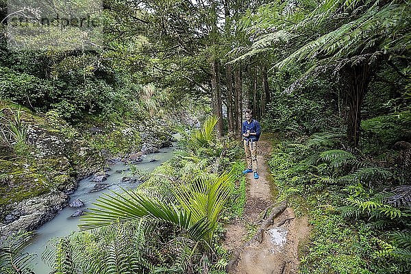Wanderer auf dem Weg zum Piroa-Wasserfall  Maungaturoto  Northland  Nordinsel  Neuseeland  Ozeanien