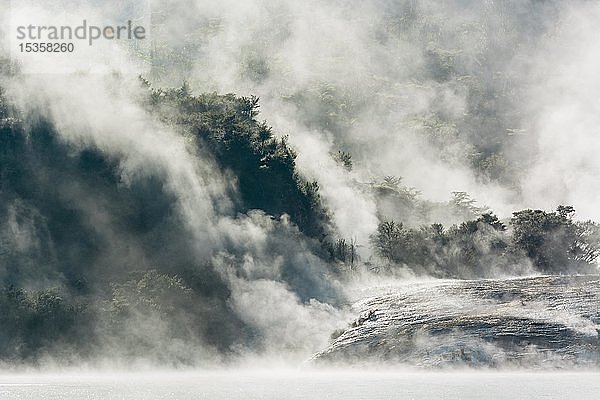 Nebel und Dampf aus heißen Quellen  Orakei Korako Geothermal Park  Geothermisches Gebiet  Hidden Valley  Taupo Volcanic Zone  Nordinsel  Neuseeland  Ozeanien