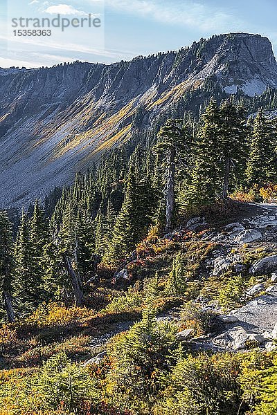 Berglandschaft im Herbst  Tabletop Mountain  Mount Baker-Snoqualmie National Forest  Washington  USA  Nordamerika