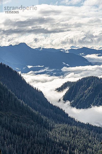 Blick vom Artist Point  Berglandschaft in Wolken  Mount Baker-Snoqualmie National Forest  Washington  USA  Nordamerika