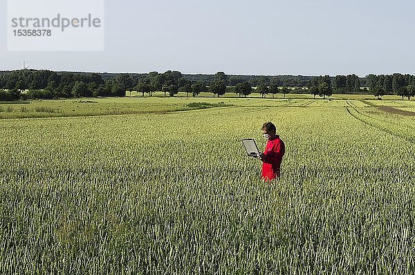 Wissenschaftler im Getreidefeld  Bückeburg  Niedersachsen  Deutschland  Europa