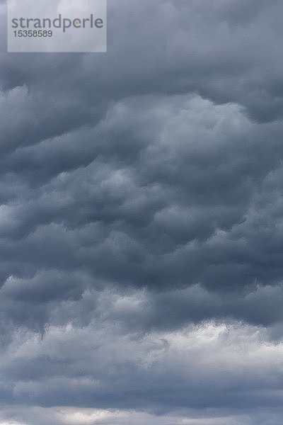 Regenwolken (Nimbostratus)  Bayern  Deutschland  Europa