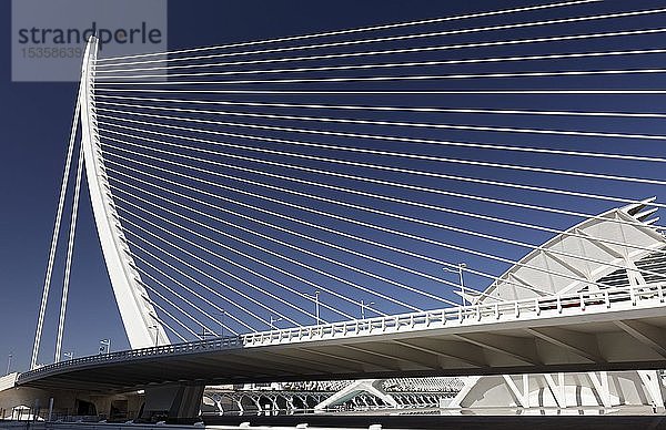 Harfenförmige Schrägseilbrücke  Pont de L'Assut de l'Or  Architekt Santiago Calatrava  CAC  Ciutat des les Arts i les Ciències  Valencia  Spanien  Europa